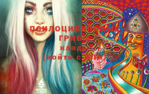 apvp Заволжье