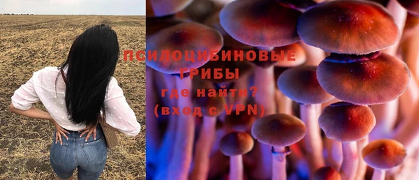 apvp Заволжье