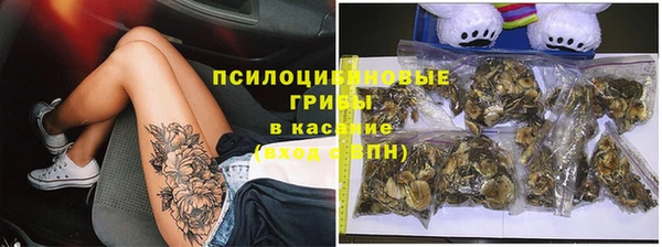 apvp Заволжье