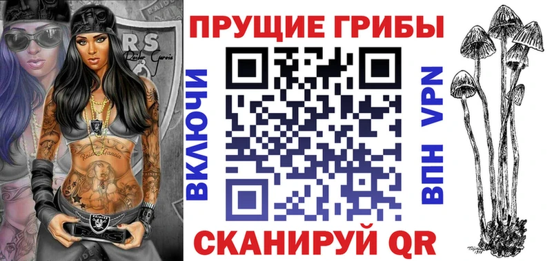 купить наркотики сайты  Кашира  Галлюциногенные грибы Cubensis 