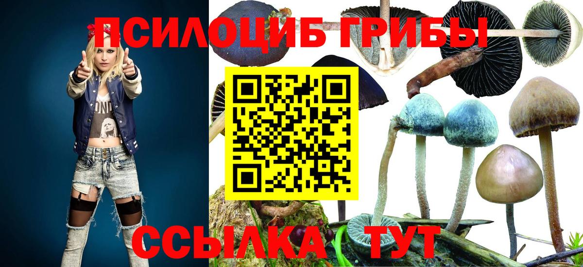 Галлюциногенные грибы прущие грибы Кашира